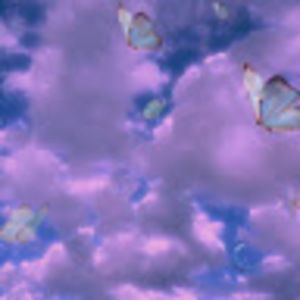 Meet your Posher, Mariann